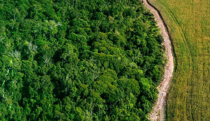 compra e venda de reserva legal no df