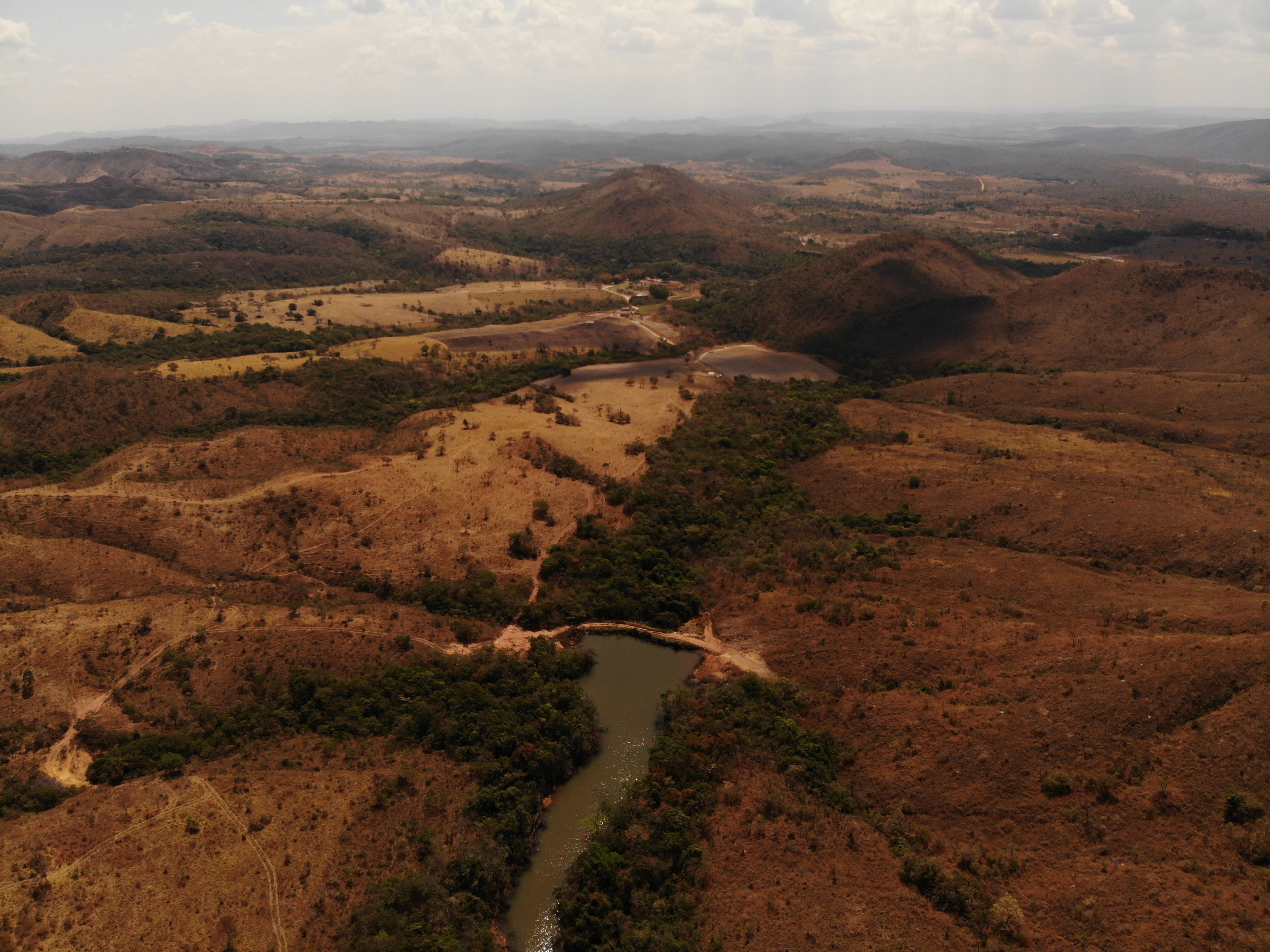 compra e venda de reserva legal em goias